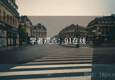 学者观点：91在线
