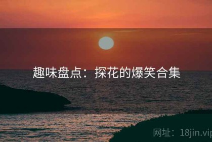 趣味盘点：探花的爆笑合集
