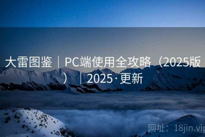 大雷图鉴｜PC端使用全攻略（2025版）｜2025·更新