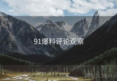 91爆料评论观察