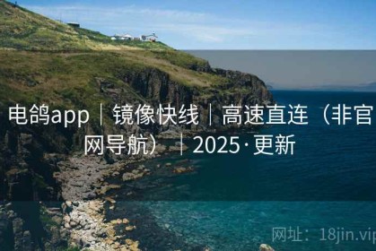 电鸽app｜镜像快线｜高速直连（非官网导航）｜2025·更新