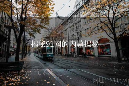 揭秘91网的内幕揭秘