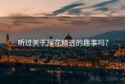 听过关于探花精选的趣事吗？