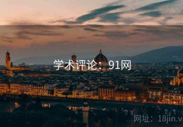 学术评论：91网
