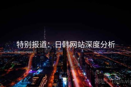 特别报道：日韩网站深度分析