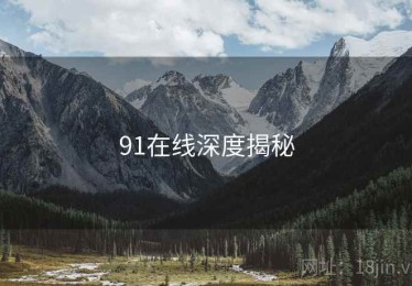 91在线深度揭秘