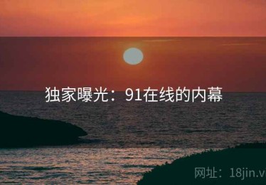 独家曝光：91在线的内幕
