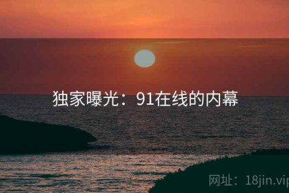 独家曝光：91在线的内幕