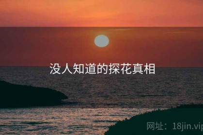 没人知道的探花真相
