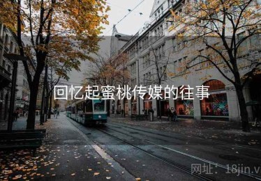 回忆起蜜桃传媒的往事