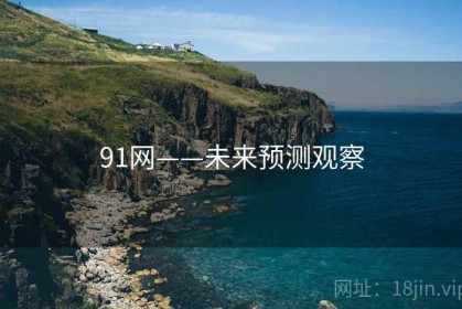 91网——未来预测观察