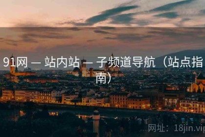 91网 — 站内站 — 子频道导航（站点指南）