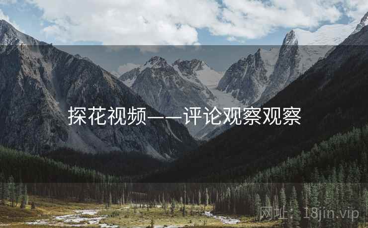 探花视频——评论观察观察