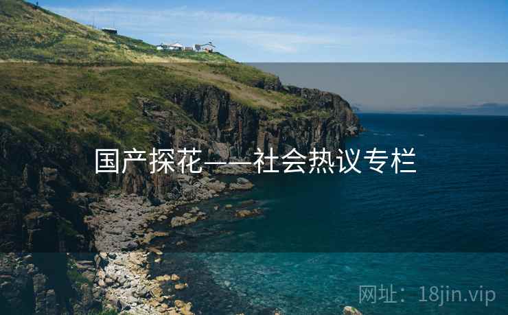 国产探花——社会热议专栏