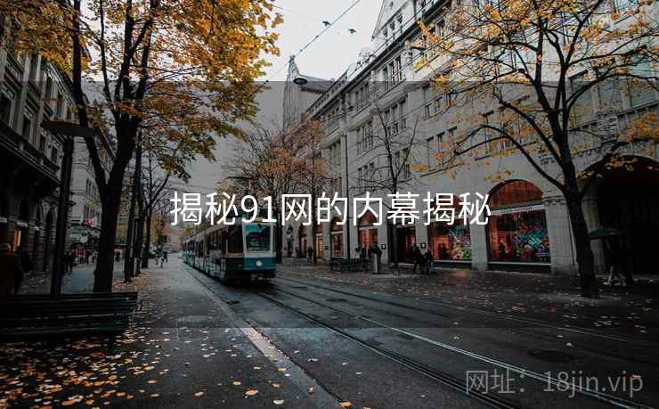 揭秘91网的内幕揭秘