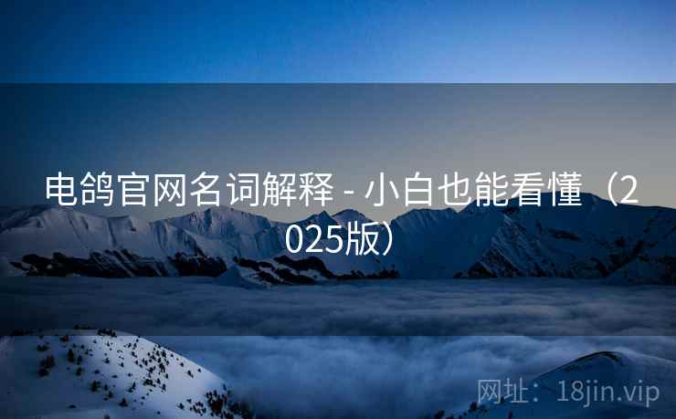 电鸽官网名词解释 - 小白也能看懂（2025版）