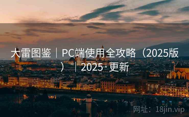 大雷图鉴｜PC端使用全攻略（2025版）｜2025·更新