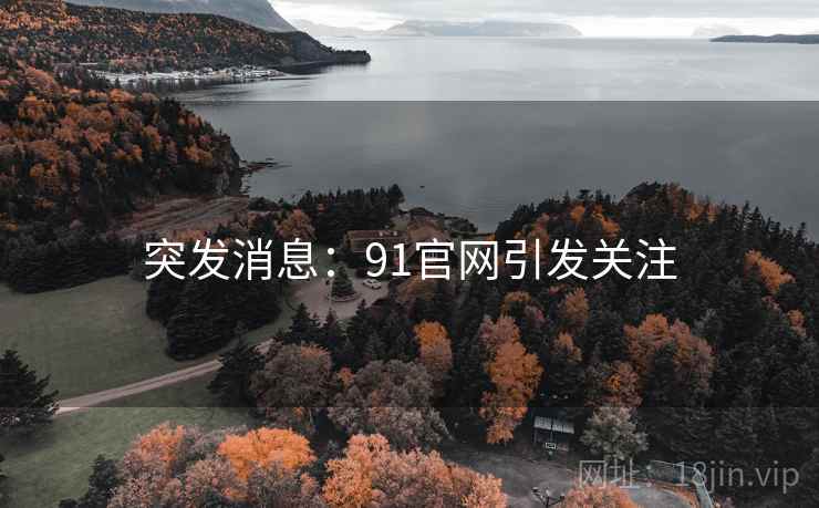 突发消息：91官网引发关注