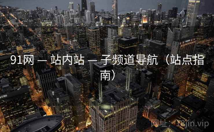 91网 — 站内站 — 子频道导航（站点指南）