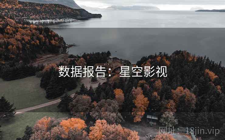数据报告:星空影视 数据报告:星空影视